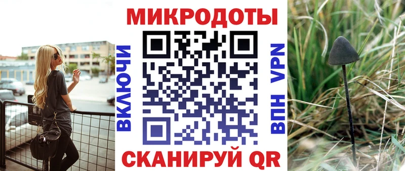 закладка  hydra рабочий сайт  Псилоцибиновые грибы MAGIC MUSHROOMS  Ставрополь 