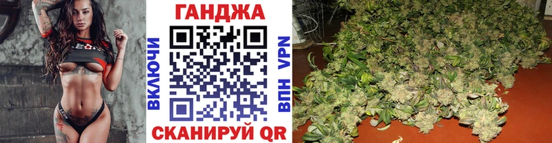Конопля план купить наркотик Ставрополь